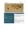 Vista preliminar de documento Plan Ambiental Detallado_16