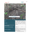 Vista preliminar de documento Plan Ambiental Detallado_17
