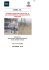Vista preliminar de documento Anexo 10