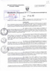Vista preliminar de documento RD N°0133
