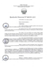 Vista preliminar de documento RD293-2023