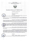 Vista preliminar de documento RD294-2023