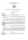 Vista preliminar de documento RD295-2023
