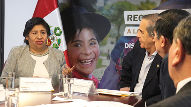 Orfelina Arpasi, directora ejecutiva del programa Contigo, en reunión ejecutiva con el congresista Roberto Chiabra y asesores.