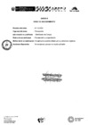 Vista preliminar de documento Anexo II Aviso de Sinceramiento - Clasificador de Cargos