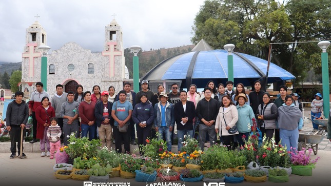Ornamentación de Parque 28 de julio