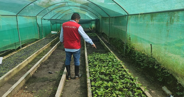 La Contraloría General alertó deficiencias en la ejecución del Proyecto “Recuperación del Servicio Ecosistémico de Regulación Hídrica en la Microcuenca Juninguillo”, ubicado en el distrito y provincia de Moyobamba, los cuales ocasionaron la pérdida de 12 hectáreas reforestadas y ponen en riesgo la sostenibilidad del mencionado plan.