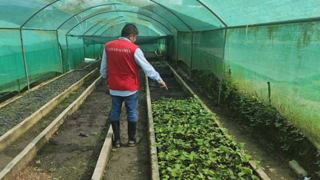 La Contraloría General alertó deficiencias en la ejecución del Proyecto “Recuperación del Servicio Ecosistémico de Regulación Hídrica en la Microcuenca Juninguillo”, ubicado en el distrito y provincia de Moyobamba, los cuales ocasionaron la pérdida de 12 hectáreas reforestadas y ponen en riesgo la sostenibilidad del mencionado plan. 