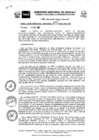 Vista preliminar de documento RGR0381-2023-GRI