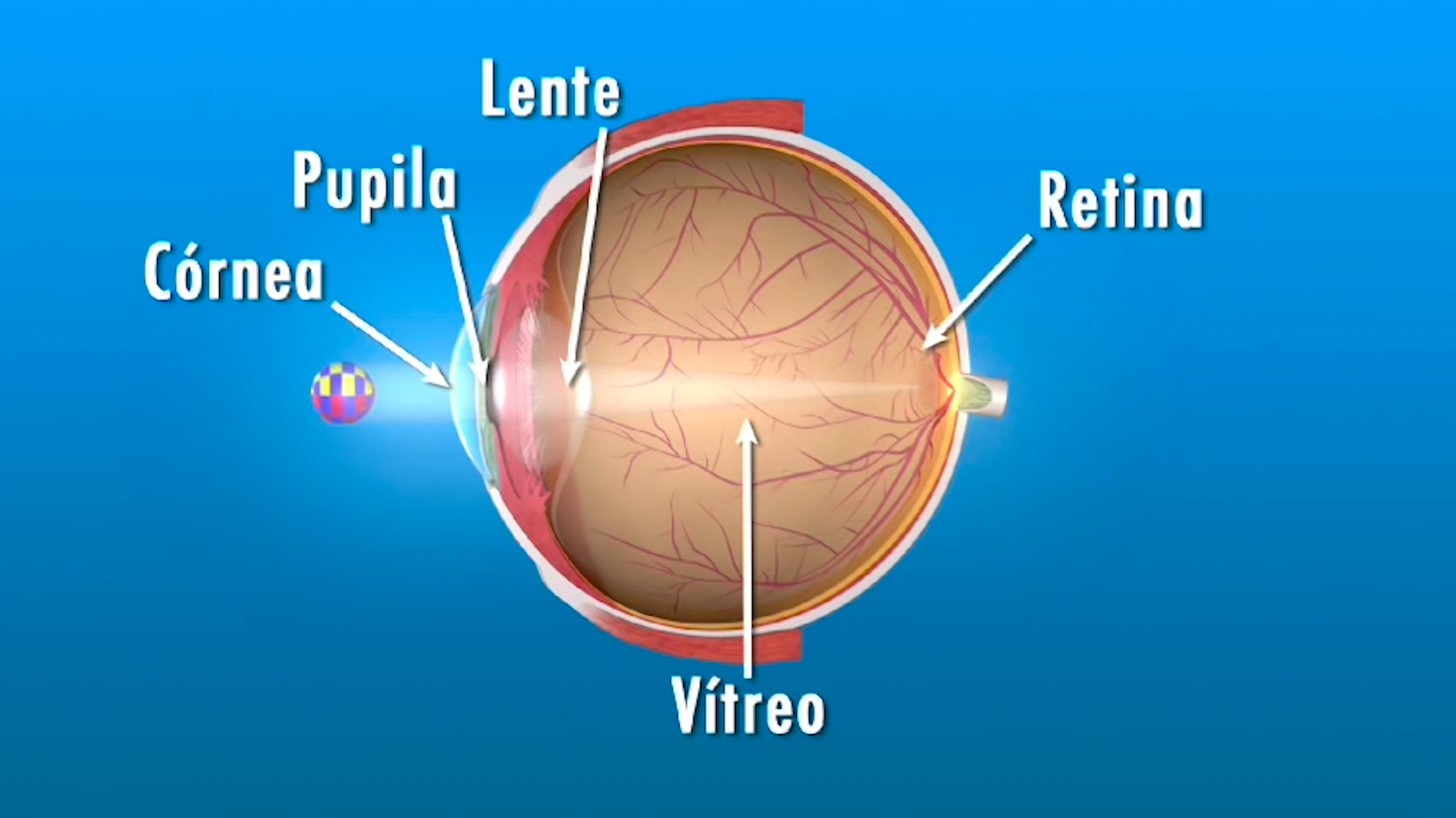 ¡Cuidado! Essalud advierte que juguetes peligrosos pueden producir desprendimiento de retina en niños