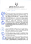 Vista preliminar de documento RDRS_2022_0089