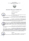 Vista preliminar de documento RD309-2023