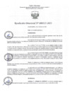 Vista preliminar de documento RD313-2023