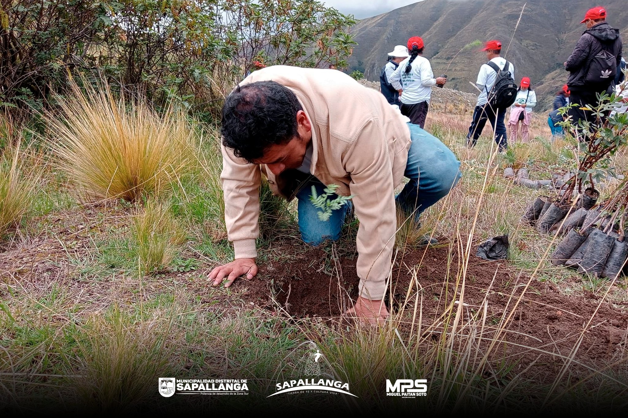 Reforestación y Forestación