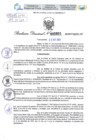 Vista preliminar de documento Resolución Directoral. N° 2931 - 2023