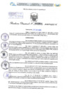 Vista preliminar de documento Resolución Directoral N° 2924 - 2023
