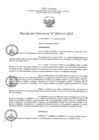 Vista preliminar de documento RD345-2023
