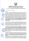 Vista preliminar de documento RDRS-2022-1107