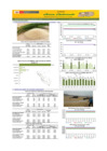 Vista preliminar de documento Boletín de abastecimiento y precio del ARROZ - 26/12/23