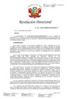 Vista preliminar de documento RD 324-2023