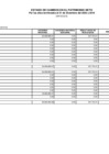 Vista preliminar de documento Estados de Cambios en el Patrimonio Neto 2019