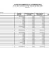 Vista preliminar de documento Estados de Cambios en el Patrimonio Neto 2021