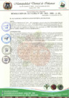 Vista preliminar de documento RESOLUCION DE ALCALDIA N°  195-2023-MDI-A-SG