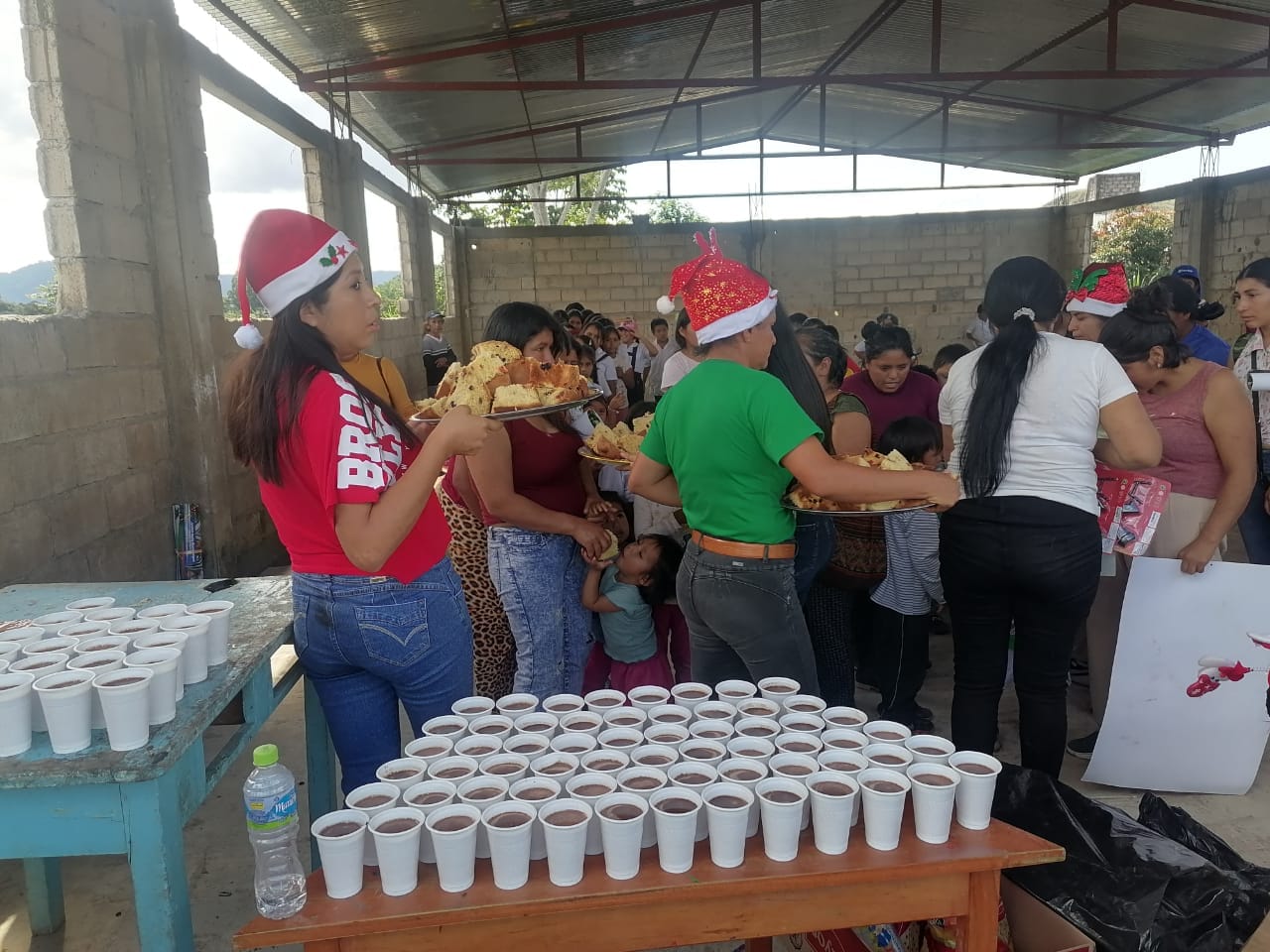 Feliz navidad pampa tigre