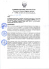Vista preliminar de documento RDRS_2021_0258