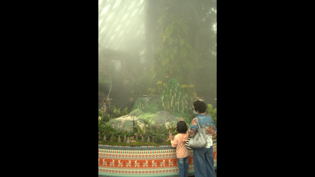 Exposición “Orquídeas de Machu Picchu” en Singapur es visitada por más de 750,000 personas