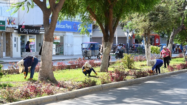 MPP dio mantenimiento a 124 mil 854 metros cuadrados de áreas verdes en el 2023
