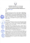 Vista preliminar de documento RDRS_2021_0593
