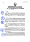 Vista preliminar de documento RDRS_2020_0082