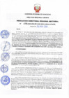 Vista preliminar de documento RDRS_2020_0276