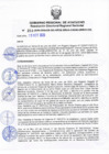 Vista preliminar de documento RDRS_2020_0253