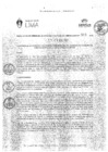 Vista preliminar de documento RGAPI_N°005-2023