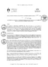 Vista preliminar de documento RGAPI_N°010-2023