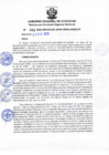 Vista preliminar de documento RDRS_2020_0641