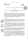 Vista preliminar de documento RGAPI_N°013-2023