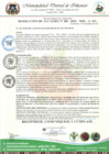 Vista preliminar de documento RESOLUCION DE ALCALDIA N°  200-2023-MDI-A-SG