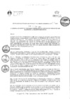 Vista preliminar de documento RGAPI_N°017-2023
