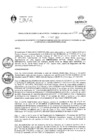 Vista preliminar de documento RGAPI_N°021-2023