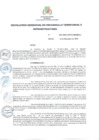 Vista preliminar de documento RGDTI_229-2023-GDTI-GM-MDSA