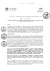 Vista preliminar de documento RGAPI_N°024-2023