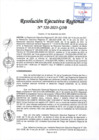 Vista preliminar de documento RER 520-2023-GOB