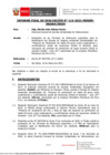 Vista preliminar de documento Inf-0114-2021/MINEM-DGAAH-DEAH