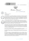 Vista preliminar de documento RD 250 DG 2023