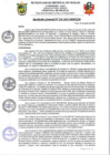 Vista preliminar de documento rgm326