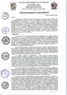 Vista preliminar de documento rgm334