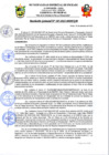 Vista preliminar de documento rgm387